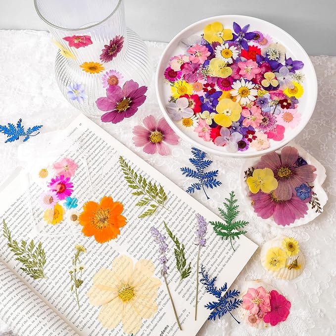 Dried Pressed Flowers Real Pressed Flowers Natural Dry Leaves Bulk Mixed Colorful Herbs Kit with Tweezers for Scrapbooking DIY Candle Jewelry Crafts Making Nails
