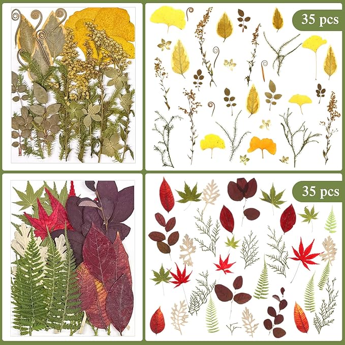 Nuanchu 167 Pcs Real Dried Pressed Flowers Natural Dried Flowers Colorful Daisy Mixed Wildflowers Leave for DIY Candle Resin Nails Jewelry Pendant Crafts Floral Art(Green,Fresh Style)