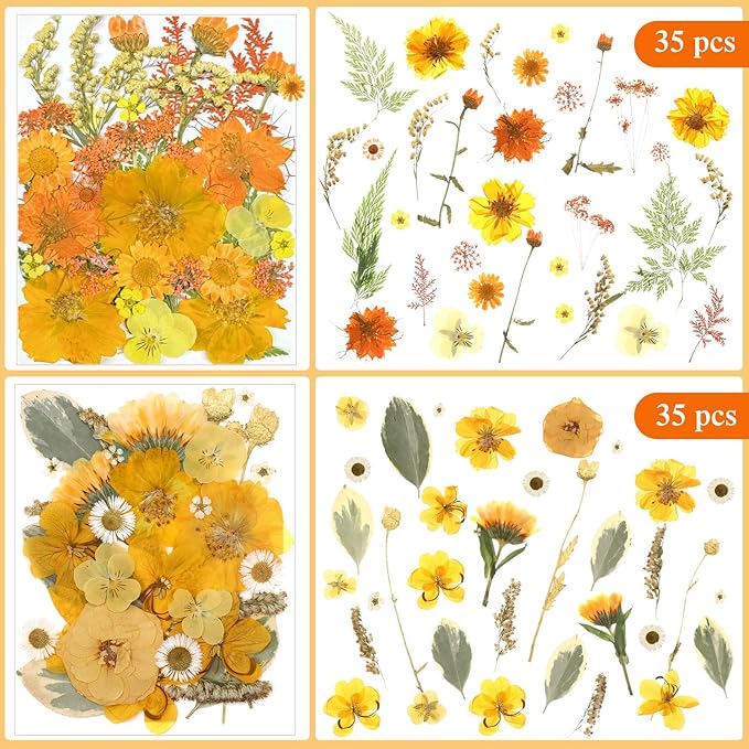 Nuanchu 167 Pcs Real Dried Pressed Flowers Natural Dried Flowers Colorful Daisy Mixed Wildflowers Leave for DIY Candle Resin Nails Jewelry Pendant Crafts Floral Art(Yellow,Bright Style)
