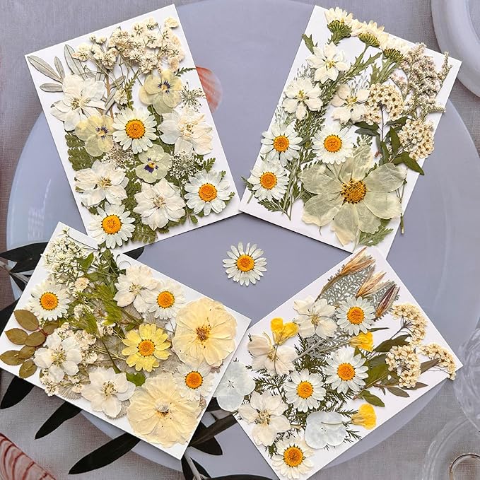 MIKIYA 90Pcs White Dried Pressed Flowers for Resin Molds, Real Natural Bulk Dry Floral Leaves for DIY Art Crafts, Epoxy Jewelry, Candle, Soap Making, Nails Decors Gifts