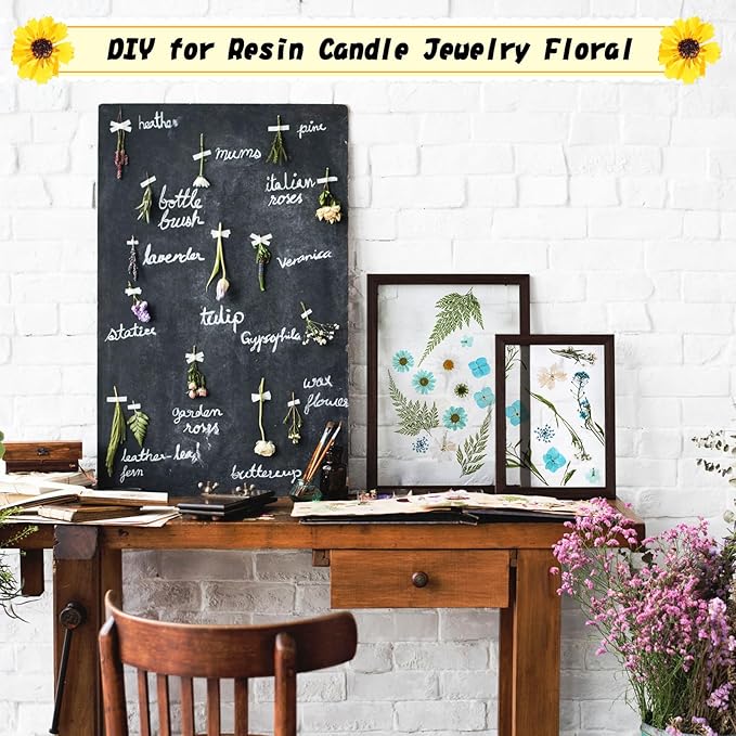 Nuanchu 167 Pcs Real Dried Pressed Flowers Natural Dried Flowers Colorful Daisy Mixed Wildflowers Leave for DIY Candle Resin Nails Jewelry Pendant Crafts Floral Art(Bright Color)