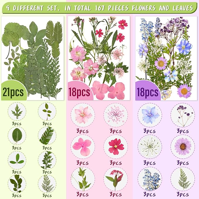 Nuanchu 167 Pcs Real Dried Pressed Flowers Natural Dried Flowers Colorful Daisy Mixed Wildflowers Leave for DIY Candle Resin Nails Jewelry Pendant Crafts Floral Art (Multicolor,Lovely Style)