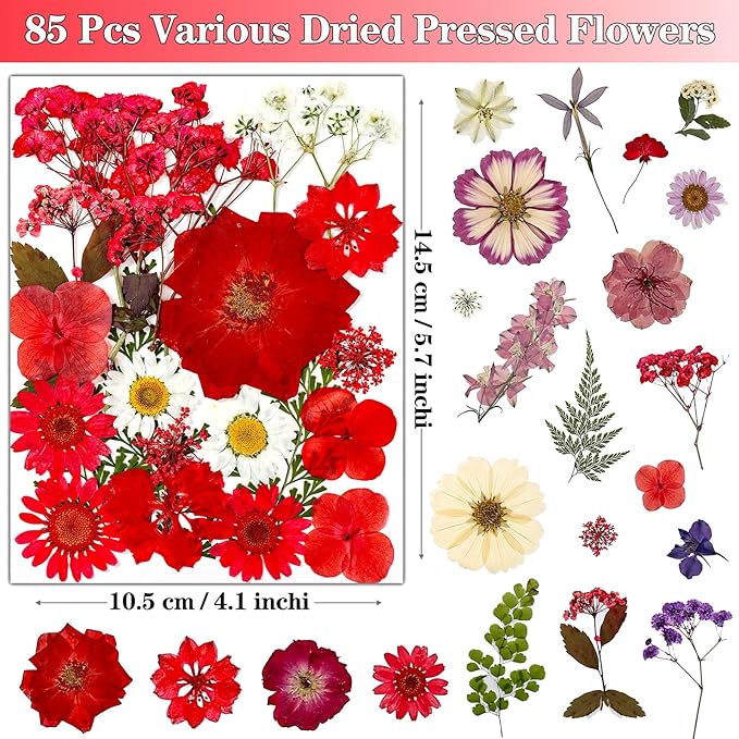 85Pcs Pressed Flowers for Crafts, Real Dried Flowers for Crafts Dried Pressed Flowers Dry Leaves in Red, White, Pink & Purple for Resin, DIY Art, Scrapbook, Jewelry, Candle & Soap Making with Tweezer