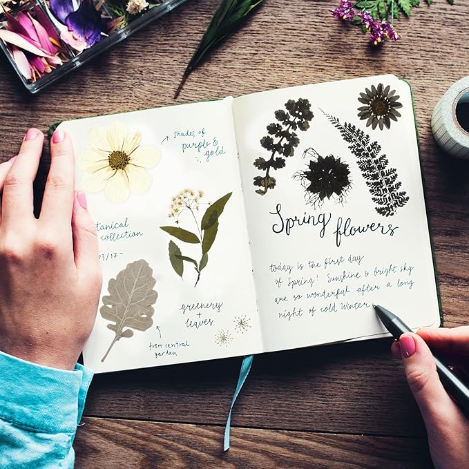 Nuanchu 167 Pcs Real Dried Pressed Flowers Natural Dried Flowers Colorful Daisy Mixed Wildflowers Leave for DIY Candle Resin Nails Jewelry Pendant Crafts Floral Art(Black White,Vintage Style)