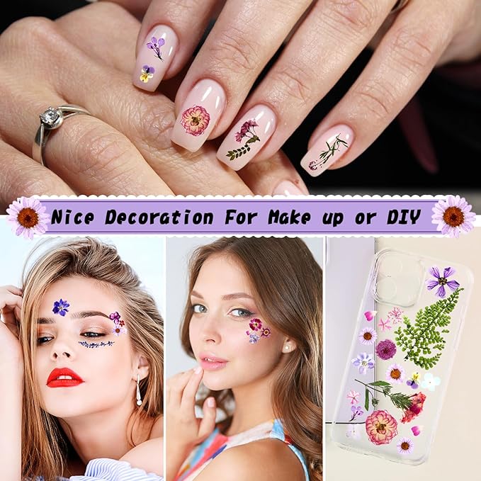 Nuanchu 167 Pcs Real Dried Pressed Flowers Natural Dried Flowers Colorful Daisy Mixed Wildflowers Leave for DIY Candle Resin Nails Jewelry Pendant Crafts Floral Art(Purple,Elegant Style)