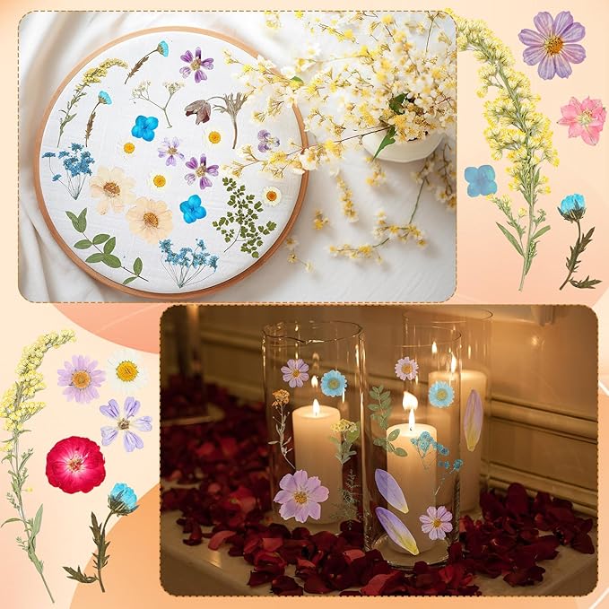 Nuanchu 200 Pcs Pressed Flowers Bulk Dried Flower for Craft Resin Mold Bookmark Scrapbooking Nail Cake White Orange Natural Pressed Dried Floral with Tweezer DIY Gift(Vivid Color,Colorful Style)