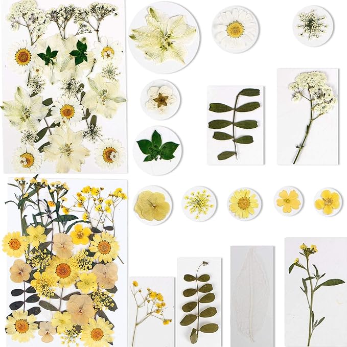BIHRTC 100PCS Dried Flowers for Resin Real Dry Flower Natural Pressed Died Leaves Sunflowers Chrysanthemum Resin Small Colorful Pressed Flowers Daisies for Candle Jewelry Nail Pendant Making