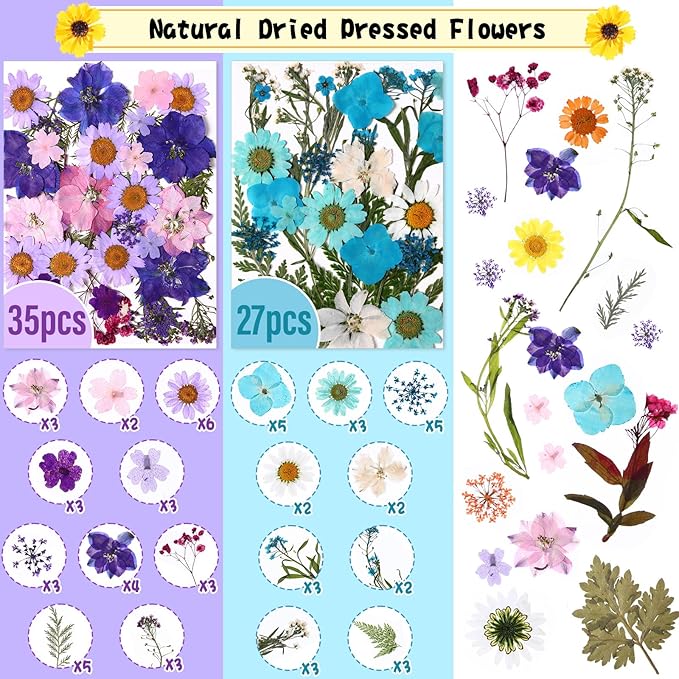 Nuanchu 167 Pcs Real Dried Pressed Flowers Natural Dried Flowers Colorful Daisy Mixed Wildflowers Leave for DIY Candle Resin Nails Jewelry Pendant Crafts Floral Art(Bright Color)