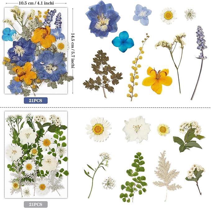 85Pcs Pressed Flowers for Crafts, Colorful Dried Flowers for Crafts Real Natural Dried Pressed Flowers Dry Leaves Bulk for Resin, DIY Art, Scrapbook, Jewelry, Card, Candle & Soap Making with Tweezers