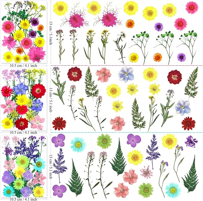 MIKIYA 192Pcs Dried Pressed Flowers for Resin, Assorted Real Natural Bulk Dry Floral Leaves for DIY Art Crafts, Epoxy Molds, Jewelry, Soap, Candle Making, Nails Decors