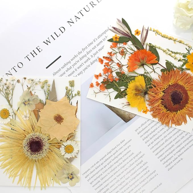 34 Types 60PCS Real Dried Pressed Flowers Leaf Plant Herbarium for DIY Resin Jewelry Making Floral Decors Candle Soap Scrapbook Supplies Card