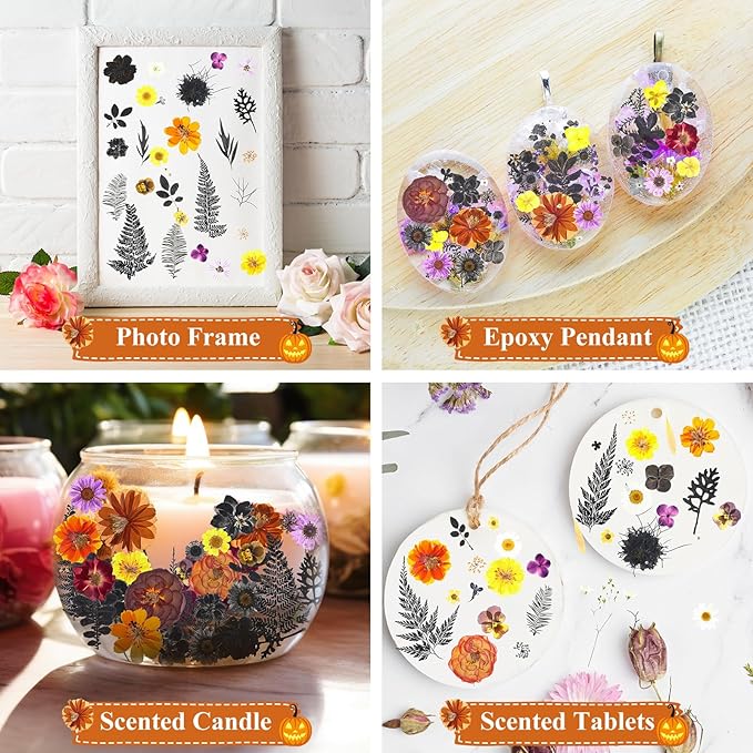 Nuanchu 167 Pcs Real Dried Pressed Flowers Natural Dried Flowers Colorful Daisy Mixed Wildflowers Leave for DIY Candle Resin Nails Jewelry Pendant Crafts Floral Art(Multicolor,Scary Style)