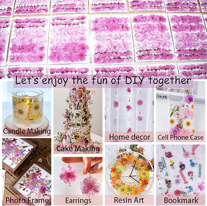 60Pcs Cherry Blossom Dried Pressed Flowers for Crafts,Xinxinran Edible Flowers for Cake Decorating,Resin Molds,Bookmark,Jewelry Molds,Candle Making Supplies,Soap,Frame(Pink)