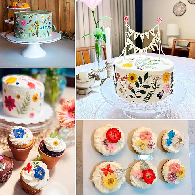 BIHRTC 100pcs Pressed Flowers Resin Flowers Real Pressed Flowers Dry Leaves Resin Decor for Scrapbooking DIY Candle Accessories Jewelry Crafts Making DIY Art Crafts Cake Decor