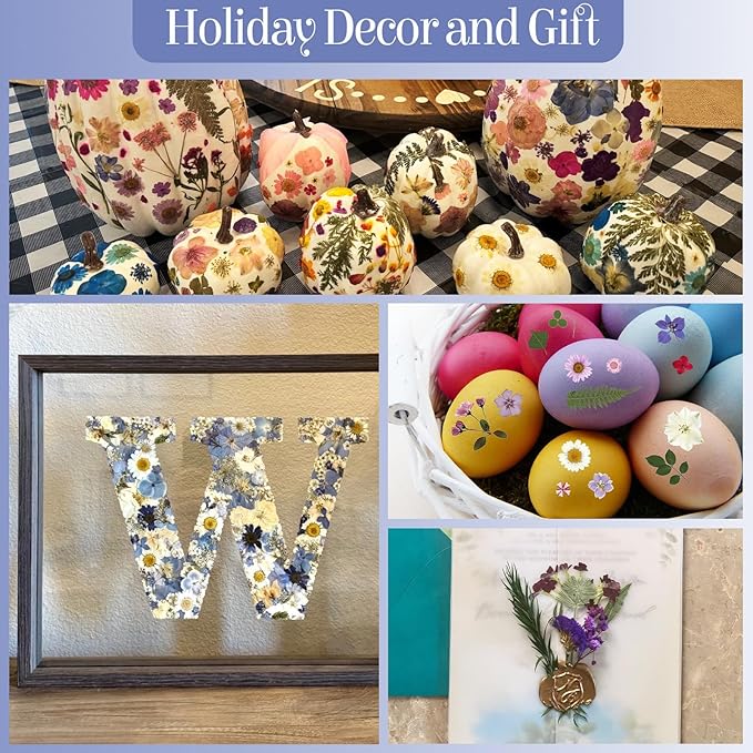 150Pcs Pressed Flowers for Crafts, Colorful Dried Flowers for Crafts Real Natural Dried Pressed Flowers Dry Leaves Bulk for Resin, DIY Art, Scrapbook, Jewelry, Card, Candle & Soap Making with Tweezers