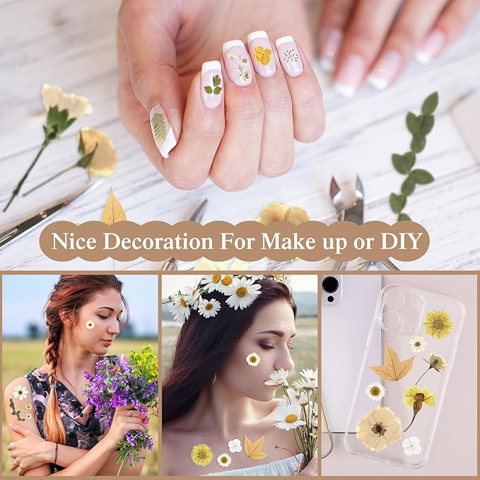 Nuanchu 167 Pcs Real Dried Pressed Flowers Natural Dried Flowers Colorful Daisy Mixed Wildflowers Leave for DIY Candle Resin Nails Jewelry Pendant Crafts Floral Art(Beige,Retro Style)