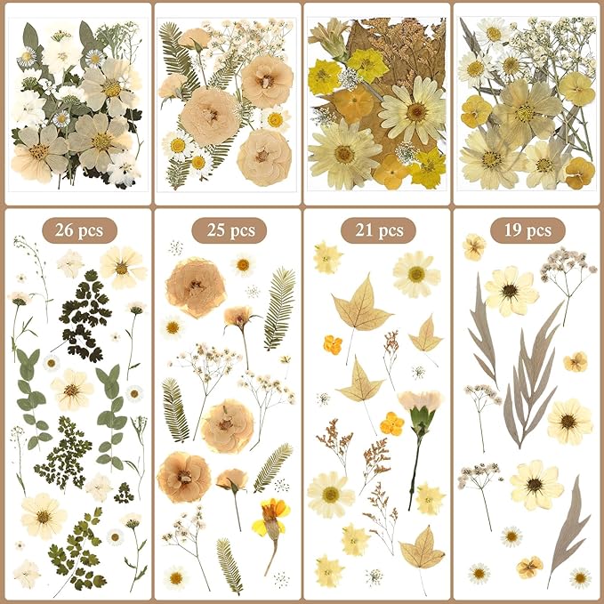 Nuanchu 167 Pcs Real Dried Pressed Flowers Natural Dried Flowers Colorful Daisy Mixed Wildflowers Leave for DIY Candle Resin Nails Jewelry Pendant Crafts Floral Art(Beige,Retro Style)