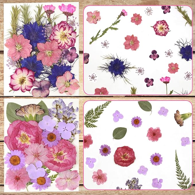 CONVELIFE Dried Flowers for Resin, Vacuum Packed DIY Pressed Flowers for Epoxy, Jewelry, Candles, Soap, Nail Production (80PCS Purple Dried Flowers)