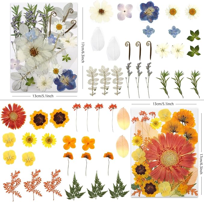 LUXEEASE 100 Pcs Large Dried Pressed Flowers for Crafts, Real Natural Flowers in Vibrant Colors for Resin, DIY Art, Jewelry & Soap Making – Tweezers Included