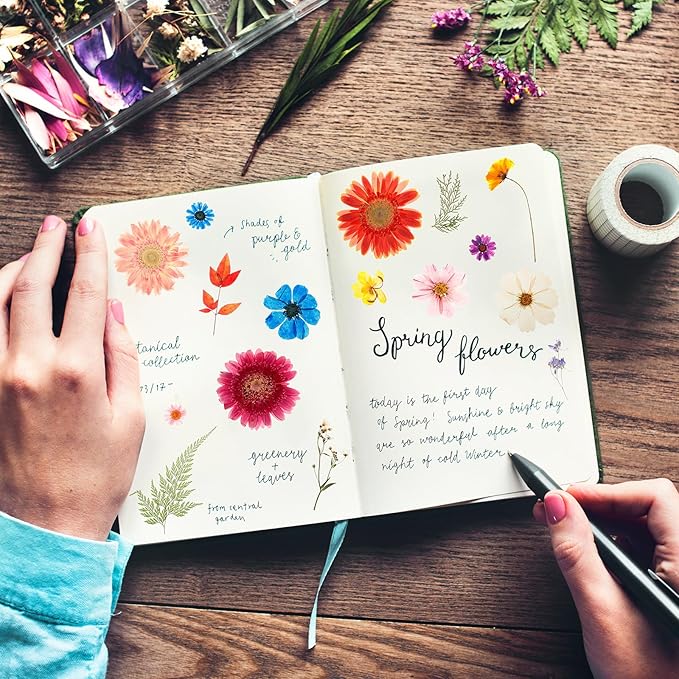 Nuanchu 167 Pcs Real Dried Pressed Flowers Natural Dried Flowers Colorful Daisy Mixed Wildflowers Leave for DIY Candle Resin Nails Jewelry Pendant Crafts Floral Art(Rainbow,Classic Style)