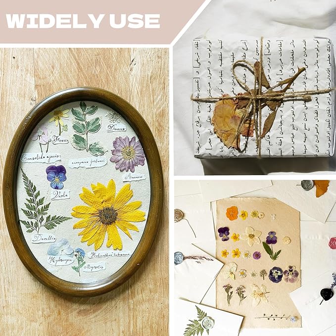 CONVELIFE Dried Flowers for Resin, Vacuum Packed DIY Pressed Flowers for Epoxy, Jewelry, Candles, Soap, Nail Production (80PCS White Dried Flowers)