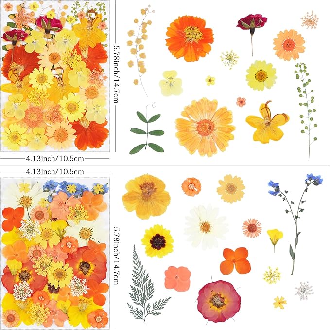 96Pcs Fall Dried Pressed Flowers for Crafts,Xinxinran Orange Dry Flowers Kit for Resin Molds,Epoxy Resin Accessories,Bookmark,Nails, Jewelry Molds,Candle Making Supplies,Soap,Frame,Cakes