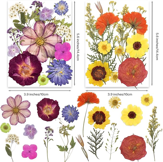 140pcs Dried Pressed Flower Leaves & Butterfly Stickers for Crafts,TrendCart Real Natural Dry Pressed Flowers & Leaves for Resin Molds Cake Candle Making Phone Cases Soap DIY Art Crafts Jewelry Making