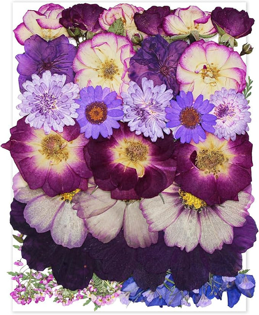 TrendCart Large Purple Dried Pressed Flowers - Real Natural Big Flowers for Resin, Crafts, Nail Art, Candle, Soap, Phone Cases & DIY Jewelry
