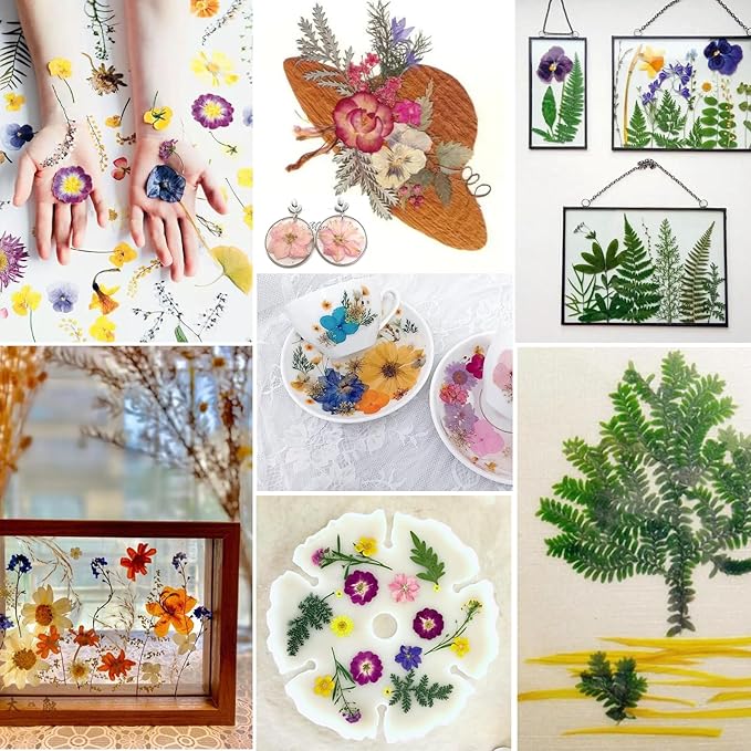 BIHRTC 100pcs Blue Dried Flowers for Resin Molds Red Real Dry Natural Flower Leaf Daisy for Scrapbooking DIY Candle Accessories Jewelry Crafts Making DIY Art Crafts Cake Decor