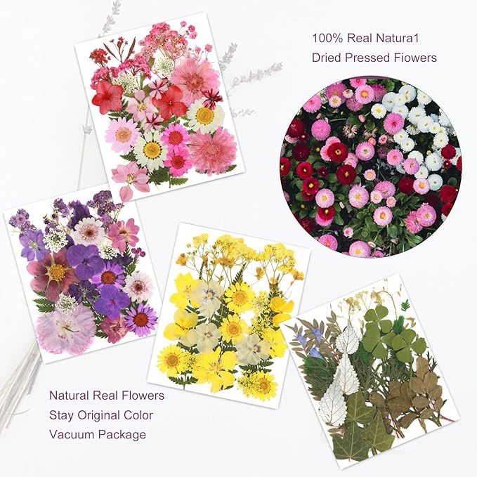 104Pcs Natural Pressed Dried Flowers Resin, Dry Flowers for Resin Accessories, Dried Flower for Scrapbooking DIY Art Crafts, Epoxy Resin Jewelry Molds, Candle, Soap Making, Craft Making
