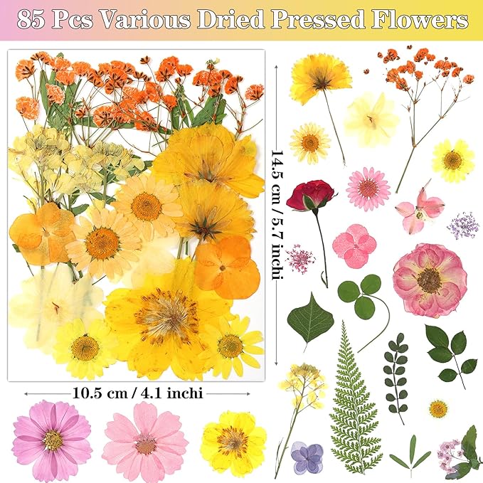 85Pcs Colorful Pressed Flowers for Crafts, Natural Dried Flowers for Crafts Real Dried Pressed Flowers Dry Leaves for Resin, DIY Art, Scrapbook, Nails Decor, Jewelry, Candle & Soap Making, w/ Tweezer