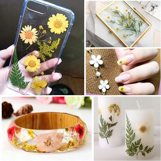 Augshy Dried Pressed Flowers - Real Natural Colorful Dry Flowers for Resin Jewelry Nail Art Craft DIY (Yellow)