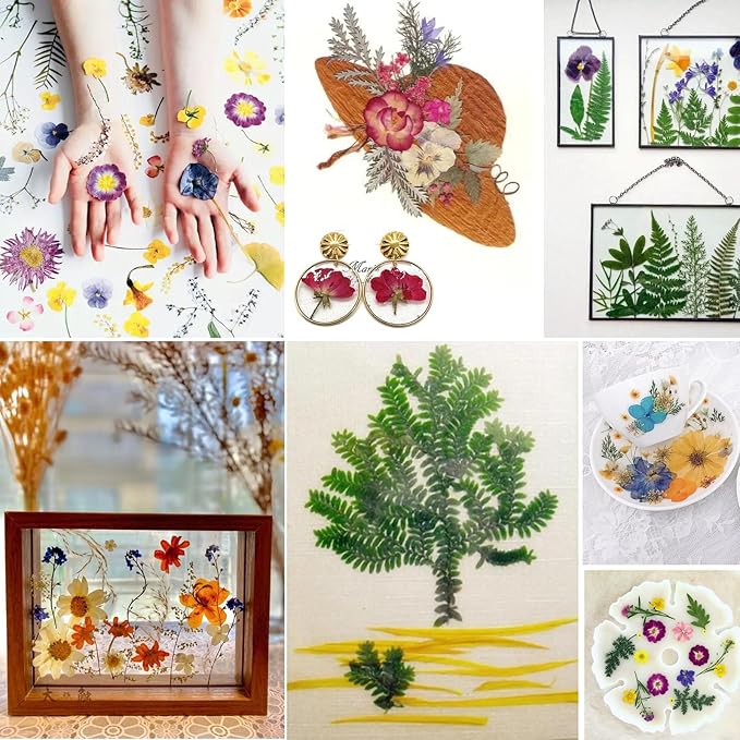 BIHRTC 100pcs Dried Pressed Flowers Red Real Pressed Colorful Flowers Dry Natural Leaves for Scrapbooking DIY Candle Accessories Jewelry Crafts Making DIY Art Crafts Cake Decor