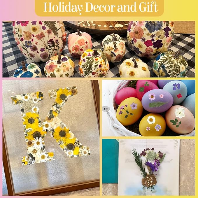 85Pcs Colorful Pressed Flowers for Crafts, Natural Dried Flowers for Crafts Real Dried Pressed Flowers Dry Leaves for Resin, DIY Art, Scrapbook, Nails Decor, Jewelry, Candle & Soap Making, w/ Tweezer