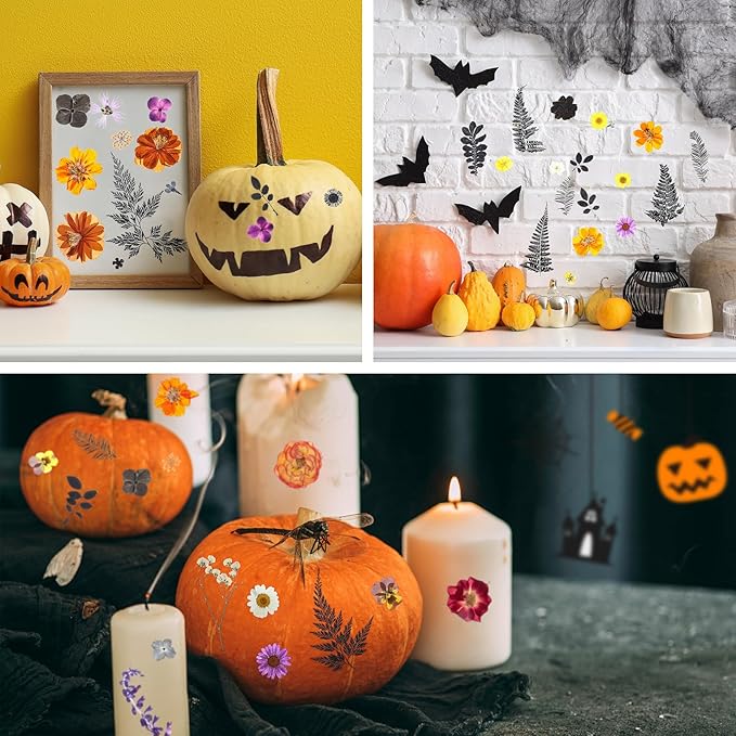 Nuanchu 167 Pcs Real Dried Pressed Flowers Natural Dried Flowers Colorful Daisy Mixed Wildflowers Leave for DIY Candle Resin Nails Jewelry Pendant Crafts Floral Art(Multicolor,Scary Style)