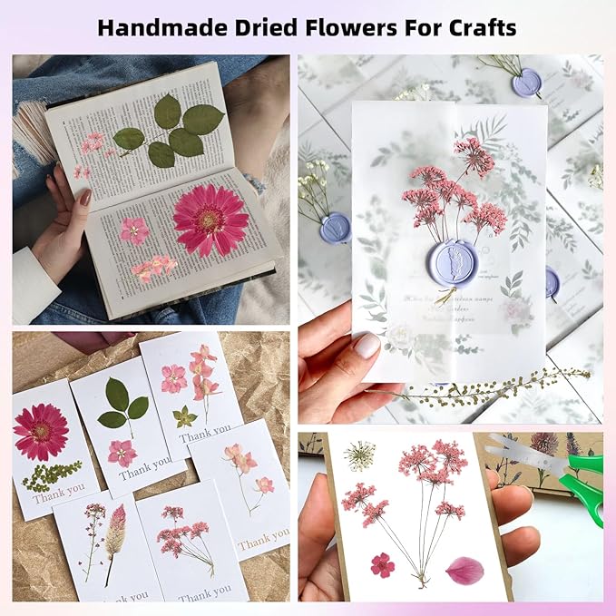 12“ Large Bulk Dried Pressed Flowers for Glass Frame, Real Dry Natural Flower Leaf for Resin Mold, Cake Decor, Holiday Decorations, Phone Cases, Invitations (Pink Fairy)