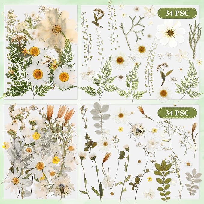 Nuanchu 167 Pcs Real Dried Pressed Flowers Natural Dried Flowers Colorful Daisy Mixed Wildflowers Leave for DIY Candle Resin Nails Jewelry Pendant Crafts Floral Art (White,Pure Style)