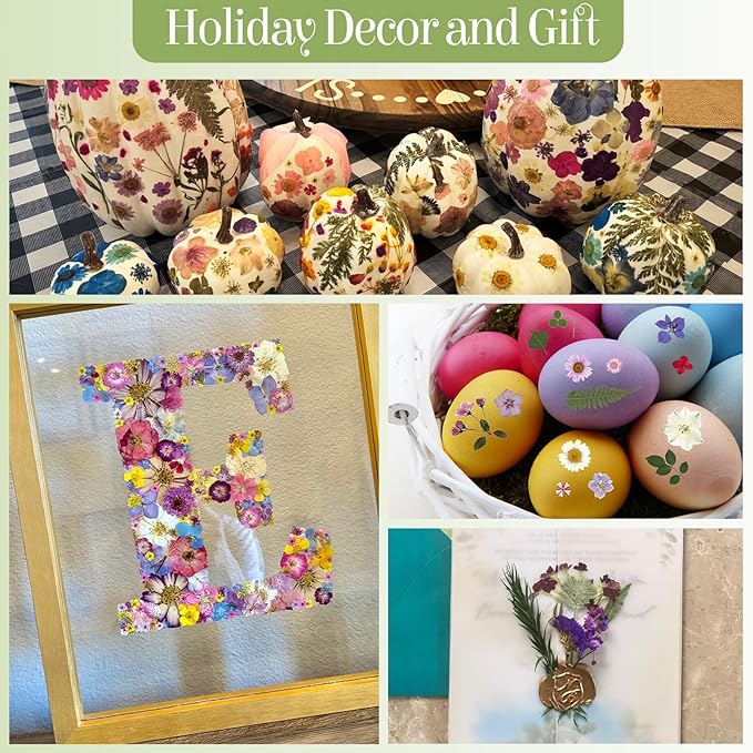 86Pcs Dried Flowers for Crafts, Real Pressed Flowers for Crafts Dried Pressed Flowers Dry Leaves in White, Pink & Yellow Tones for Resin, DIY Art, Scrapbook, Jewelry, Candle & Soap Making with Tweezer