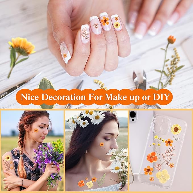 Nuanchu 167 Pcs Real Dried Pressed Flowers Natural Dried Flowers Colorful Daisy Mixed Wildflowers Leave for DIY Candle Resin Nails Jewelry Pendant Crafts Floral Art(Yellow,Bright Style)
