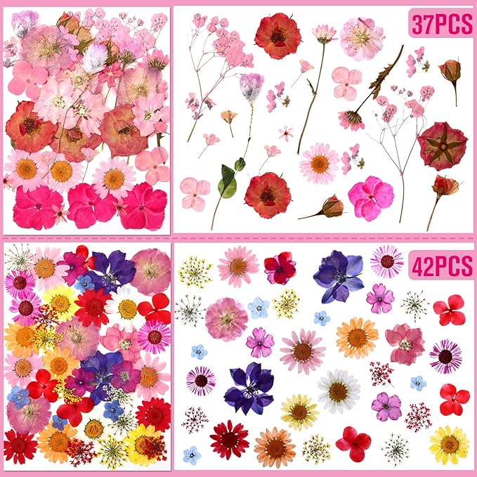 Nuanchu 167 Pcs Real Dried Pressed Flowers Natural Dried Flowers Colorful Daisy Mixed Wildflowers Leave for DIY Candle Resin Nails Jewelry Pendant Crafts Floral Art(Red,Vivid Style)
