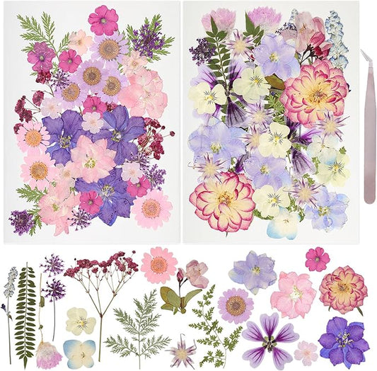 50Pcs Dried Pressed Flowers Resin Mould Real Pressed Flowers Natural Dry Leaves Bulk Mixed Colorful Daisy Herbs Kit with Tweezers for Scrapbooking DIY Candle Jewelry Crafts Making Nails(Purple)