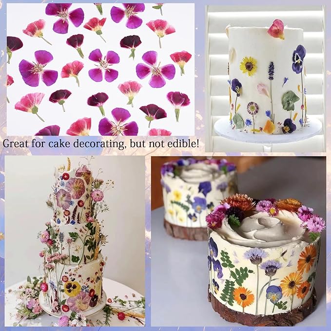 3Types 26Pcs Dried Pressed Flowers for Crafts,Xinxinran Edible Flowers for Cake Decorations,Resin Molds,Bookmark,Jewelry Molds,Candle Making Supplies,Soap,Frame (Clarkia Amoena)