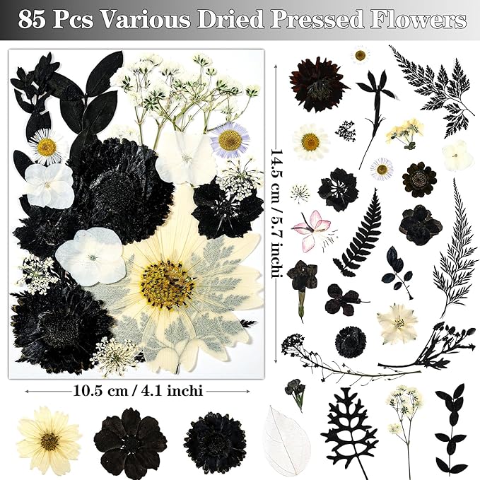 85Pcs Black Dried Flowers for Crafts, Natural Pressed Flowers for Crafts Real Dried Pressed Flowers Dry Leaves for Resin, DIY Art, Scrapbook, Nails Decor, Jewelry, Candle & Soap Making, with Tweezers