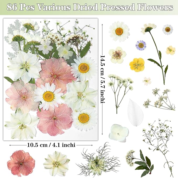 86Pcs Dried Flowers for Crafts, Real Pressed Flowers for Crafts Dried Pressed Flowers Dry Leaves in White, Pink & Yellow Tones for Resin, DIY Art, Scrapbook, Jewelry, Candle & Soap Making with Tweezer