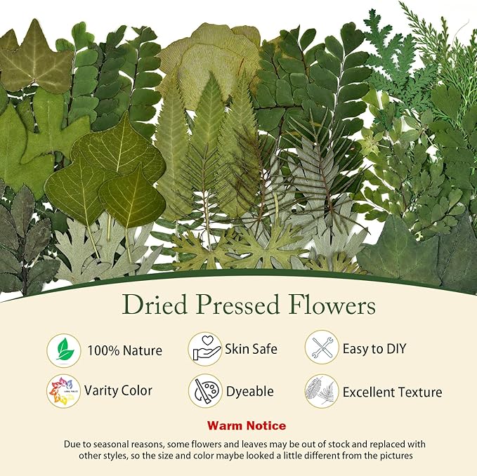 DALARAN 63 PCS Natural Dried Leaves Pressed Leaves Dried Pressed Flowers for Crafts Soap Making Candle Making and Resin Jewelry Making Pressed Flower Art Floral Decors