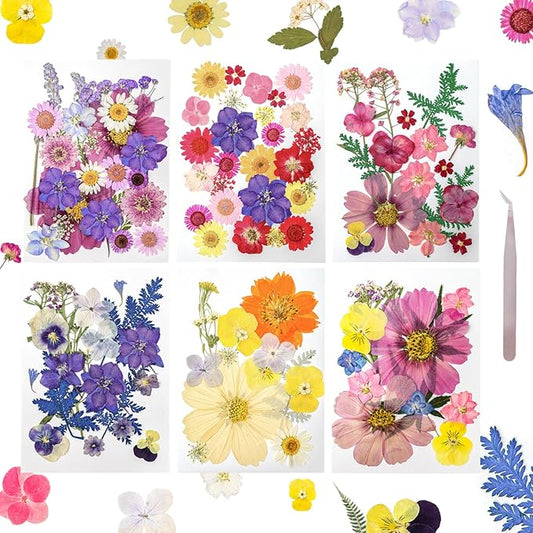 Dried Pressed Flowers Real Pressed Flowers Natural Dry Leaves Bulk Mixed Colorful Herbs Kit with Tweezers for Scrapbooking DIY Candle Jewelry Crafts Making Nails