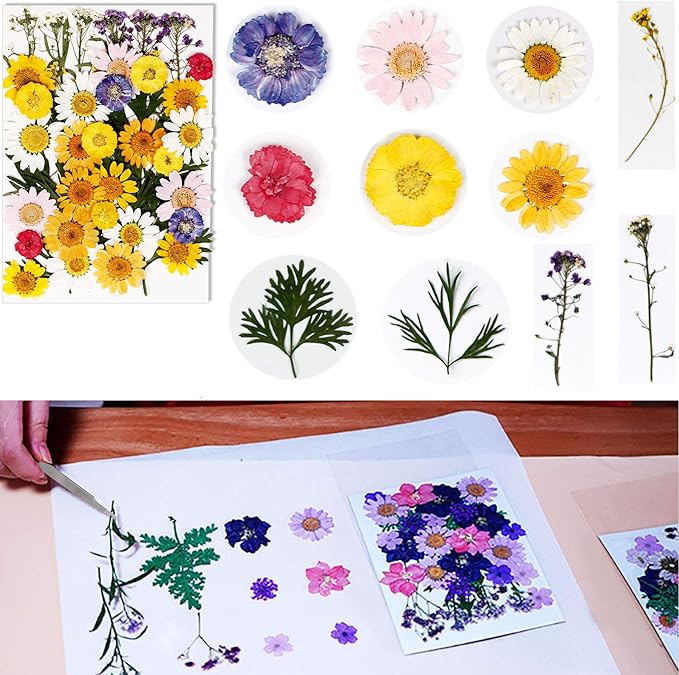 BIHRTC 100PCS Died Pressed Flowers Natural Colorful Real Dry Flowers Leaves Set for Resin Jewelry Making DIY Craft Candle Nail Art