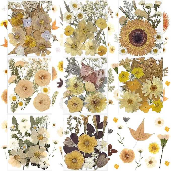 Nuanchu 167 Pcs Real Dried Pressed Flowers Natural Dried Flowers Colorful Daisy Mixed Wildflowers Leave for DIY Candle Resin Nails Jewelry Pendant Crafts Floral Art(Beige,Retro Style)