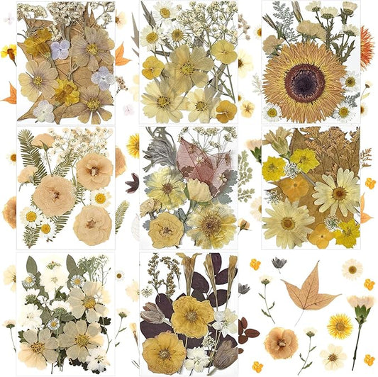 Nuanchu 167 Pcs Real Dried Pressed Flowers Natural Dried Flowers Colorful Daisy Mixed Wildflowers Leave for DIY Candle Resin Nails Jewelry Pendant Crafts Floral Art(Beige,Retro Style)