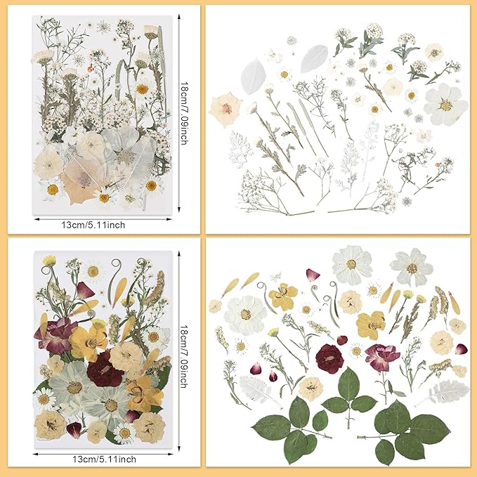 Nuanchu 200 Pcs Pressed Flowers Bulk Dried Flower for Craft Resin Mold Bookmark Scrapbooking Nail Cake White Orange Natural Pressed Dried Floral with Tweezer DIY Gift(Classic Color,Retro Style)